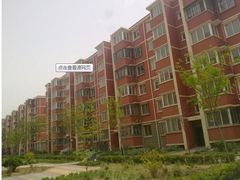 -新湖明珠城