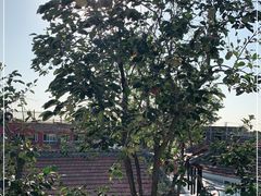 -素心小筑(后沙裕镇店)