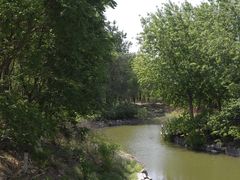 -大兴滨河森林公园