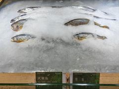 -梦都海鲜酒家(万达广场江桥店)