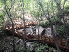 -大岭沟猕猴桃谷风景区