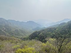 -大岭沟猕猴桃谷风景区