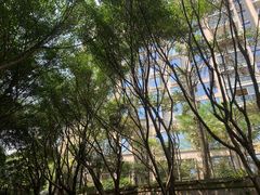 -棕榈泉国际花园1期