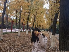 -金陵图书馆