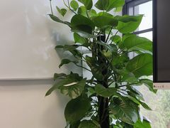 -情妹耙泥鳅·江湖川菜(科华店)