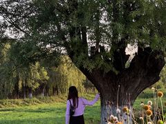 -汉长安城未央宫国家考古遗址公园