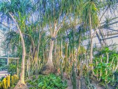 -南山植物园