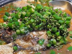 -探鱼·鲜青椒爽麻烤鱼(领展购物广场店)