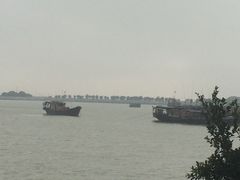 -大湾区中央湿地公园-十九涌