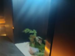 -华夏良子·足道SPA艾灸(图书大厦店)