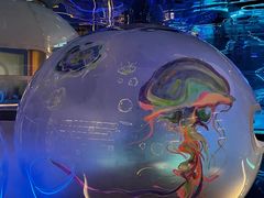 -水之梦(黄浦店)