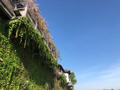 -临街徽菜馆·正宗黄山味