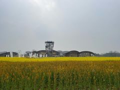 -中国天府农业博览园