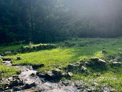 -苏木山森林公园