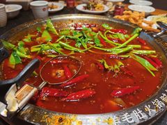 -一斗火锅·招财羊毛肚(北温泉九号店)