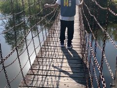 -合肥滨湖国家森林公园