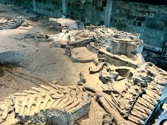 -自贡恐龙博物馆