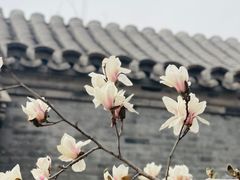 -三里河公园