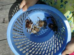 -海上驿站渔家菜馆