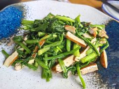 -阿巧茶庄