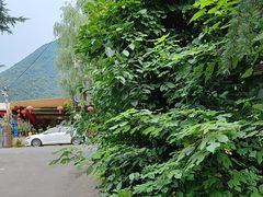 -西安金龙峡风景区