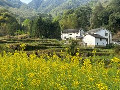 -石台牯牛降景区