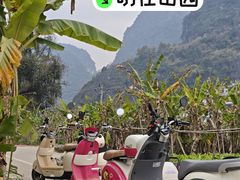 -明仕田园