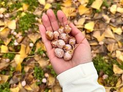 -汉长安城未央宫国家考古遗址公园