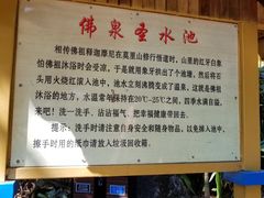 -莫里热带雨林景区