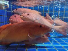-徐记海鲜(大明宫|北二环店)