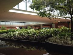 iphone_upload_pic-香港大学