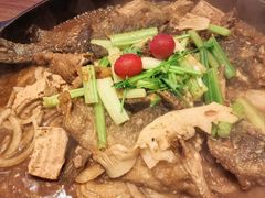 -老板恋上鱼(恒隆广场店)