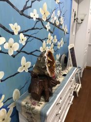 -scarlet斯卡莱美容护理机构