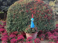 -陕西省西安植物园