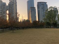 -西北湖绿化广场