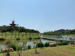 -东莞植物园