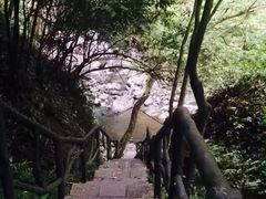 -石台牯牛降景区