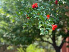 -山东大学(软件园校区)