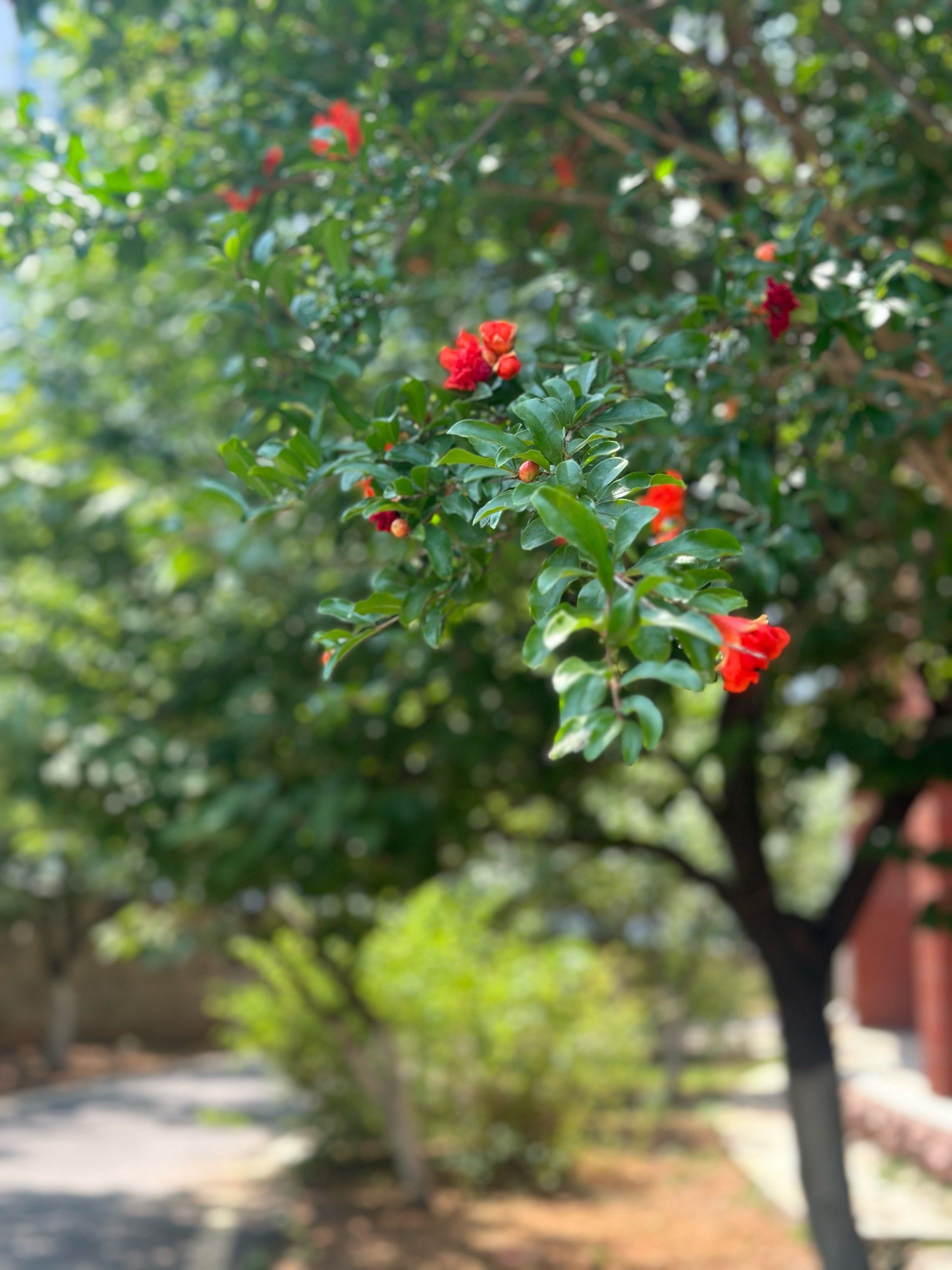 听说园林小憩能养心