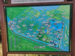 -泗洪洪泽湖湿地景区