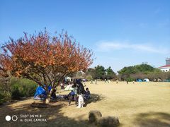 -上海植物园·停车场