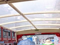 -BUS TOUR观光巴士