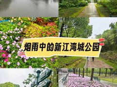 -新江湾城公园