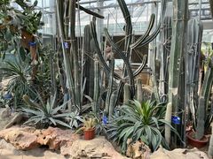 -国家植物园南园