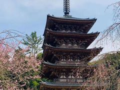 -醍醐寺