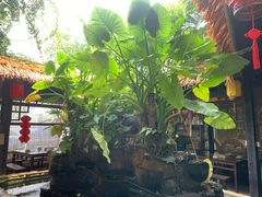 -园林美食城·本土农家菜(杨和镇店)