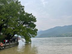 -严子陵钓台(富春江小三峡)