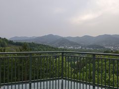 -味好美土菜(迎宾东路店)