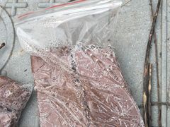 -杭州湾海上花田景区