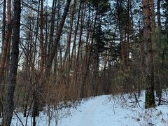 -帽儿山国家森林公园